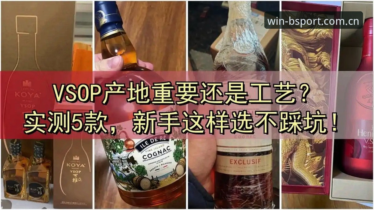 新手必看！2026年值得信赖的体育品牌实战经验与使用心得