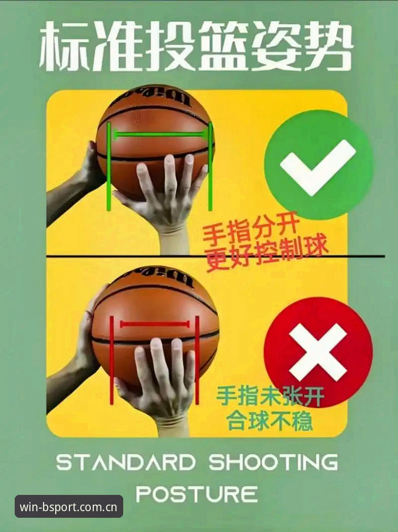 B体育平台使用教程实用指南——新手必备的五个关键步骤