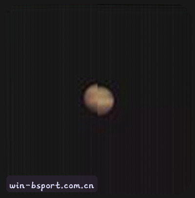 陈总
